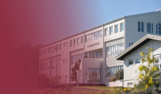 Landsréttur
