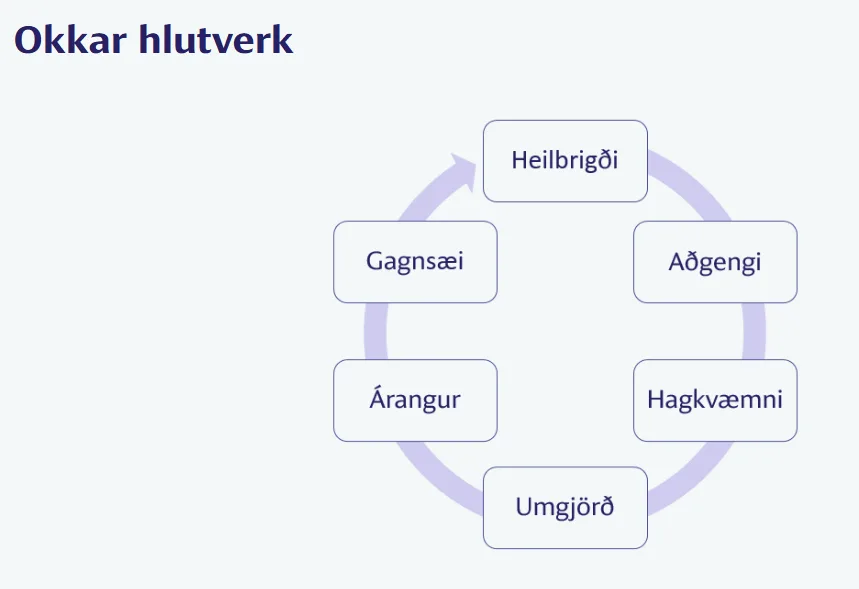 Skýringamynd af einfaldaðri starfsemi Sjúkratrygginga Íslands.