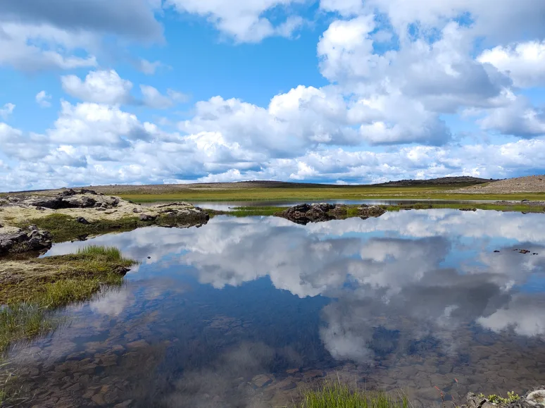 Untouched wetland area in Arnarvatnsheiði. Photo: Pétur Halldórsson