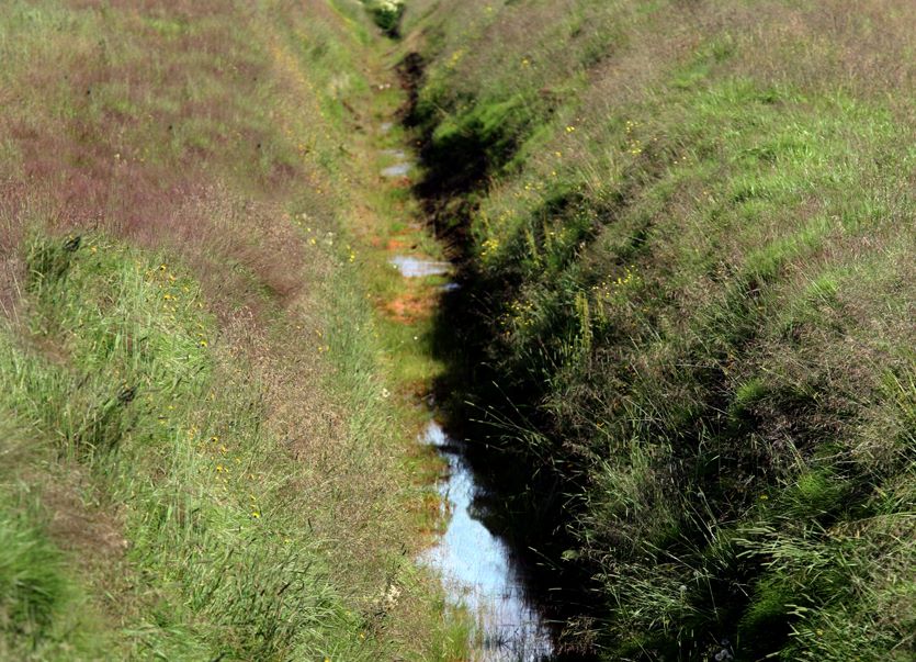 Land drainage ditch. Photo: Land and Forest Iceland