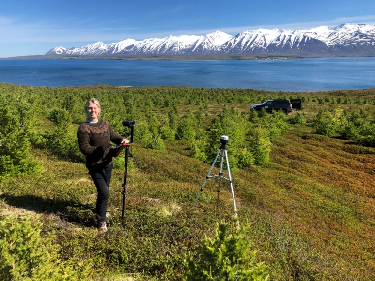 Forester Hjördís Jónsdóttir doing monitoring work in a young larch forest in Eyjafjörður. Photo: Björn Traustason