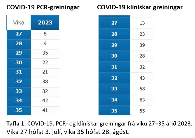 Tafla 1. PCR og klínískar Covid greiningar 2023