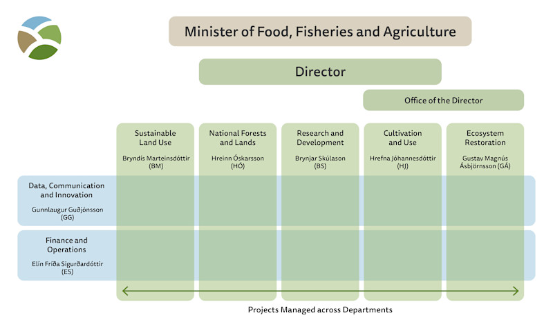 Organisation chart of Land and Forest Iceland