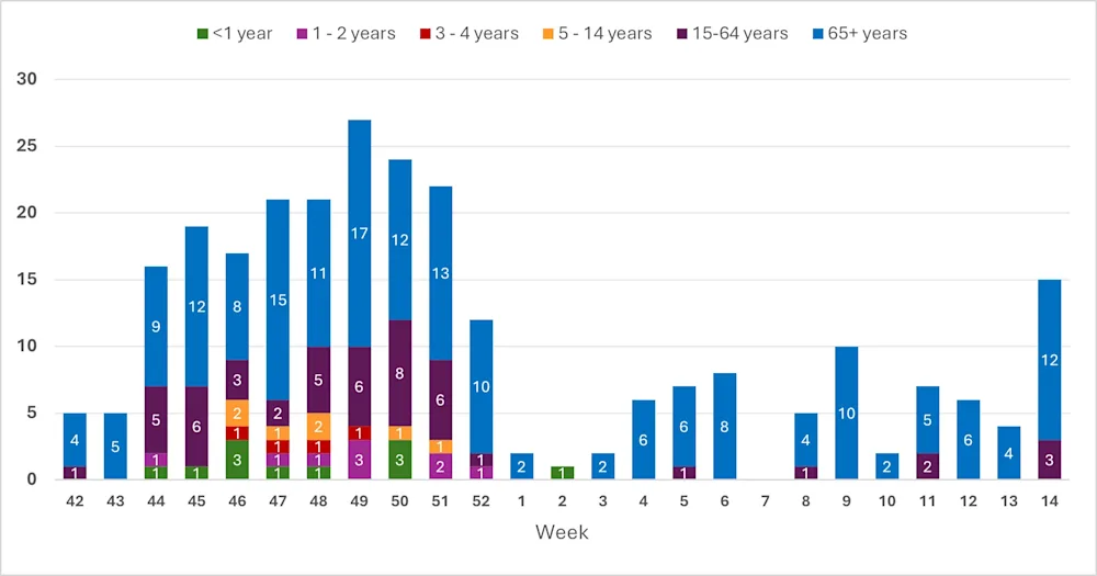 Fig. 2. Fjöldi og aldur innlagðir. Vikur 13 og 14