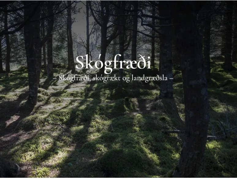 Skógfræði 