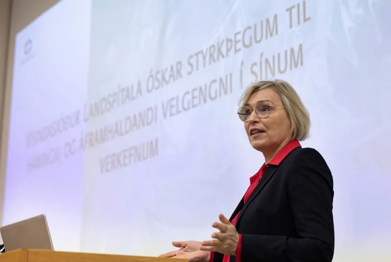 Styrkir til ungra vísindamanna