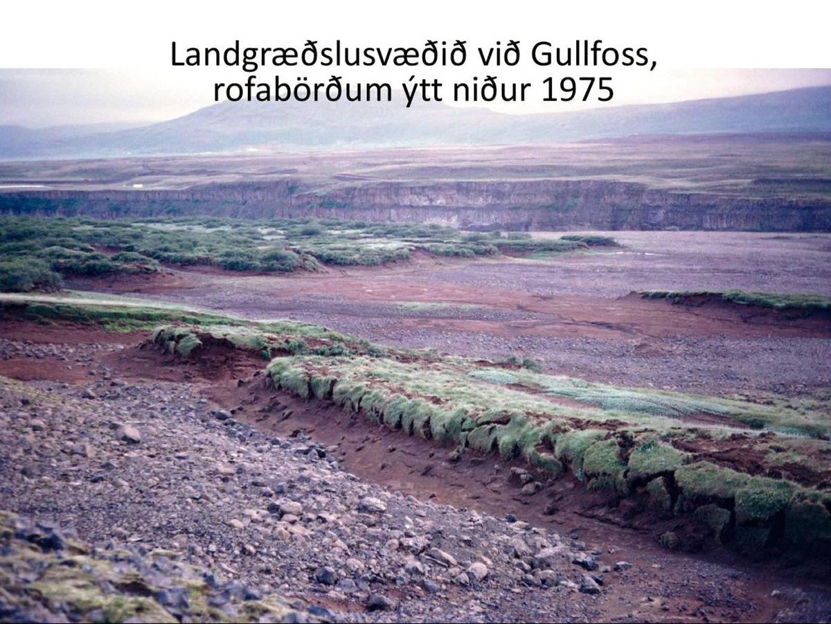 Uppgræðslusvæði Þjóðargjafarinnar við Gullfoss 1975. Ljósmynd: Áskell Þórisson