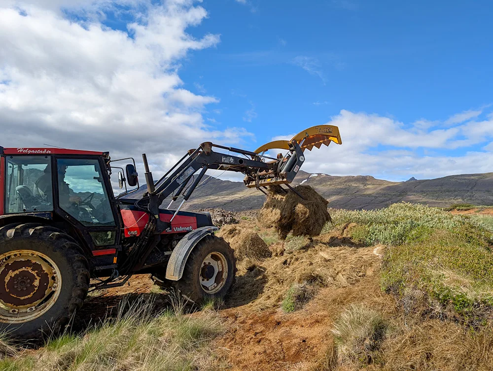 Old hay from hay rolls being distributed to an erosion ridge in Hítardalur. Photo credits: Iðunn Hauksdóttir