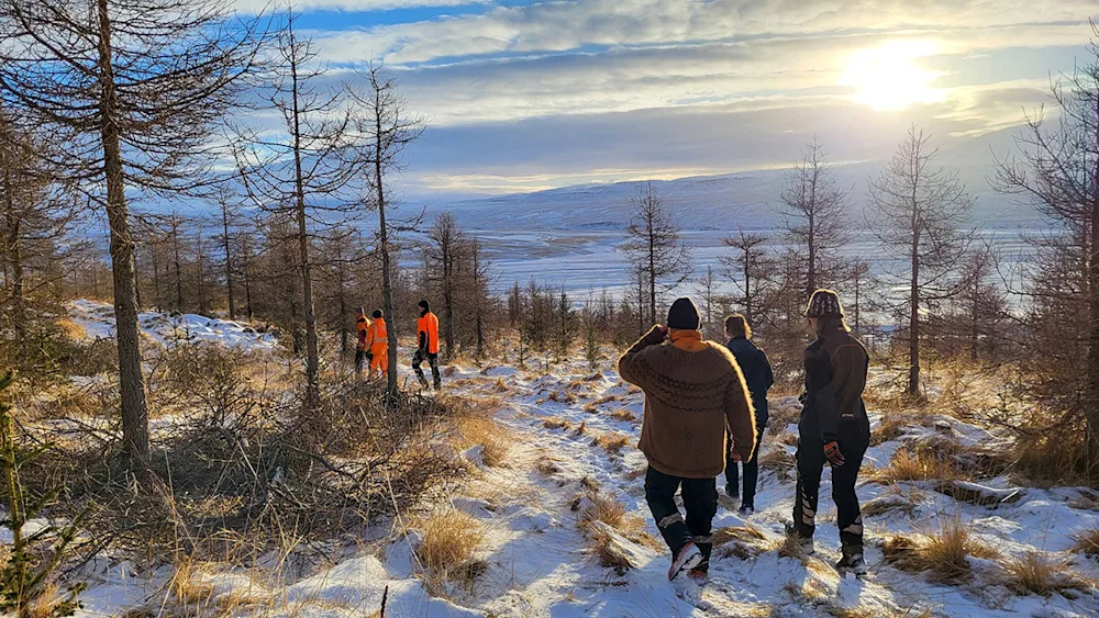 Að hirða um furuskóginn af list | Ísland.is