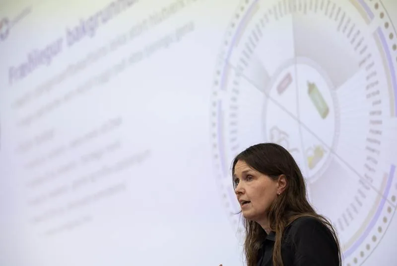 Styrkir til ungra vísindamanna