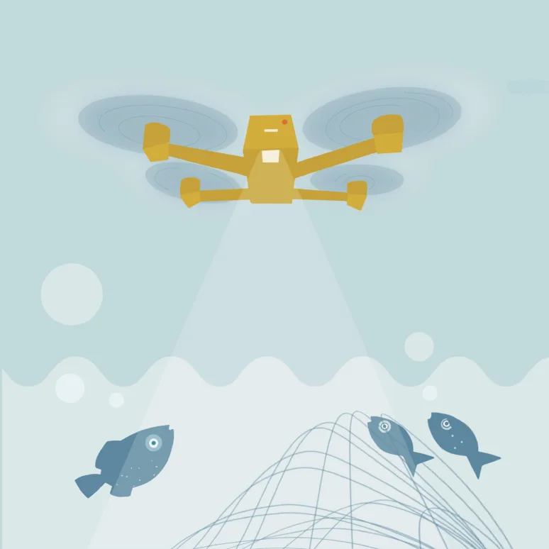 fiskistofa drone surveillance photo