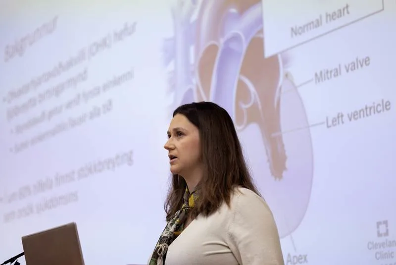 Styrkir til ungra vísindamanna