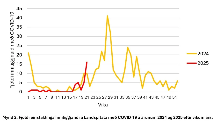 Mynd. Fjöldi einstaklinga inniliggjandi á LSH með COVID-19 2024 og 2025 eftir vikum