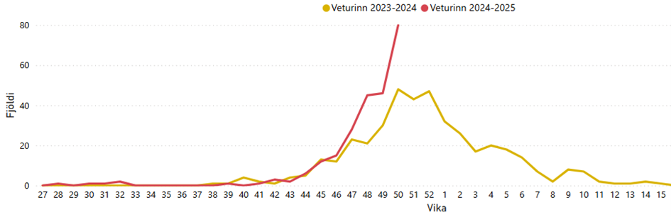 Graph. RSV infections in Iceland, winter 2023-2024 and 2024-2025 (as of week 50).