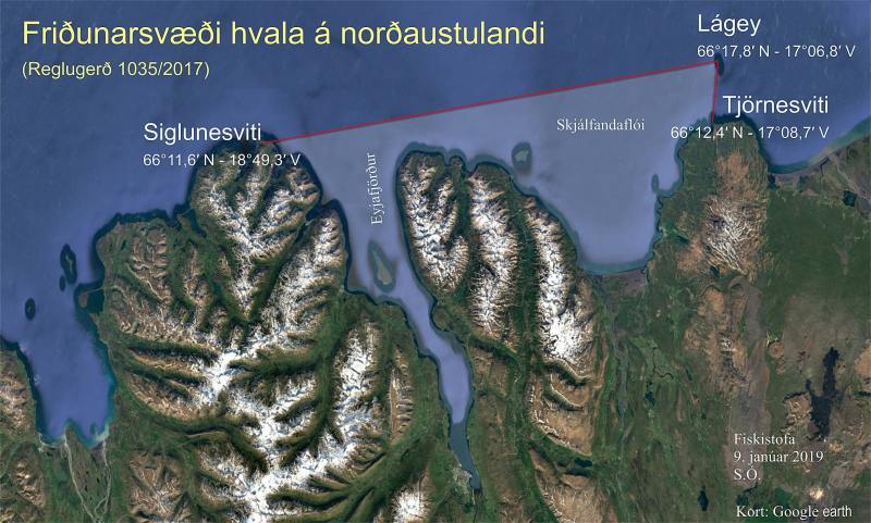 Whale conservation area in the North-East