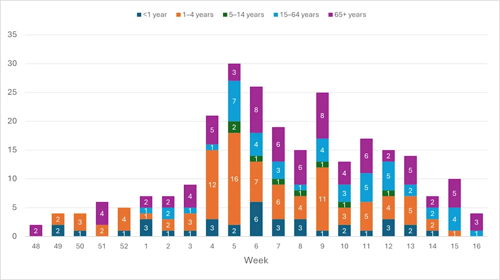 Fig. 3. RSV. Vika 16