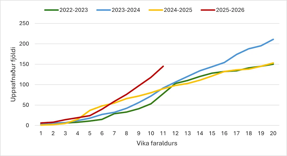 Uppsafnaður fjöldi innlagna vika 49