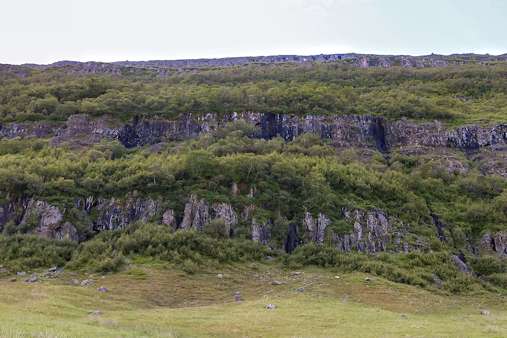 Forest-woven steep cliff in Suðurdalur valley. Photo credits: Pétur Halldórsson