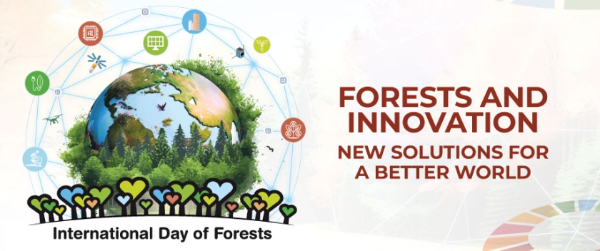 International Day of Forests 2024