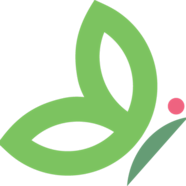 Tryggingastofnun Tryggingastofnun