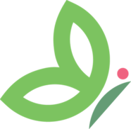 Tryggingastofnun Tryggingastofnun