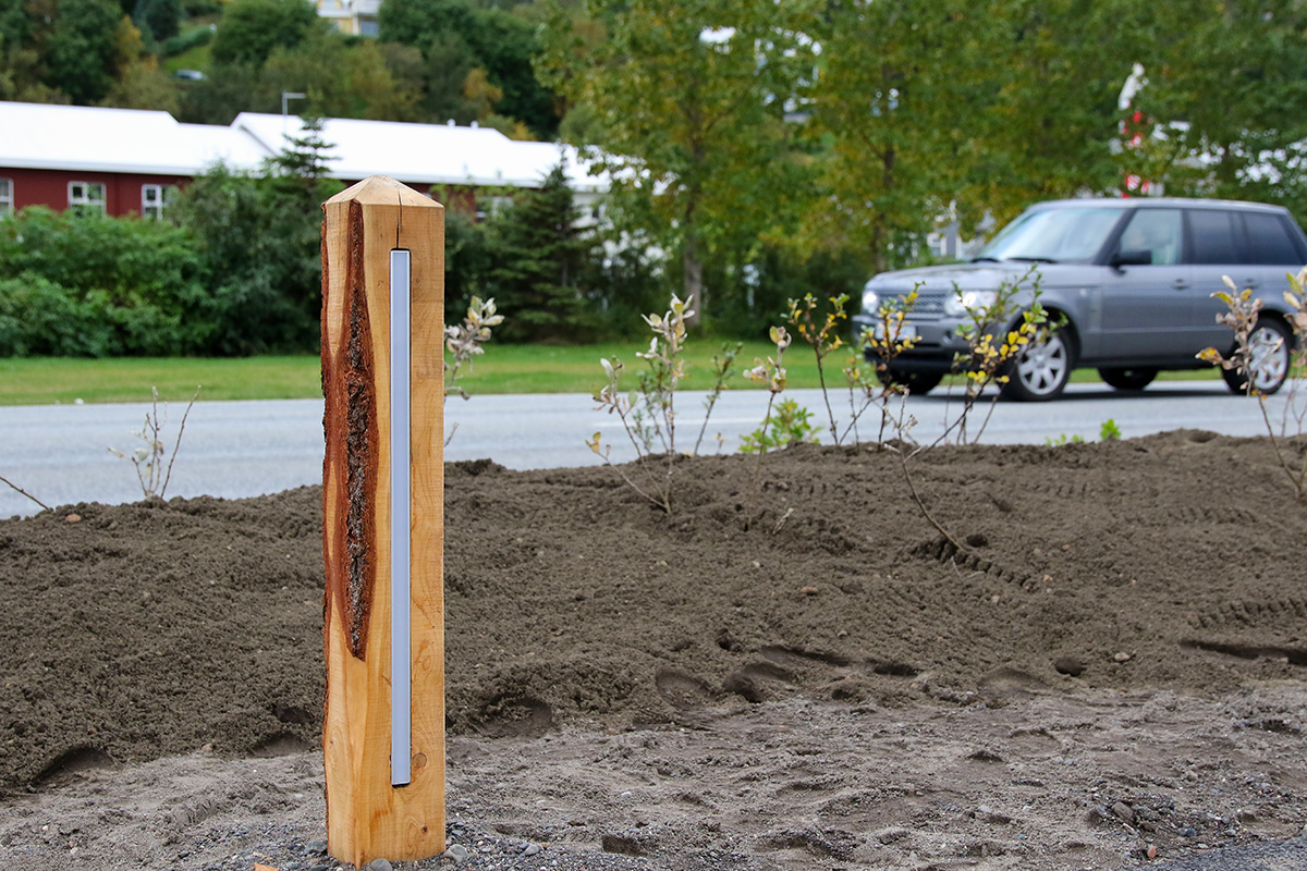 世界土壤日 – 聚焦健康土壤的重要性 World Soil Day – spotlight on the importance of healthy soils