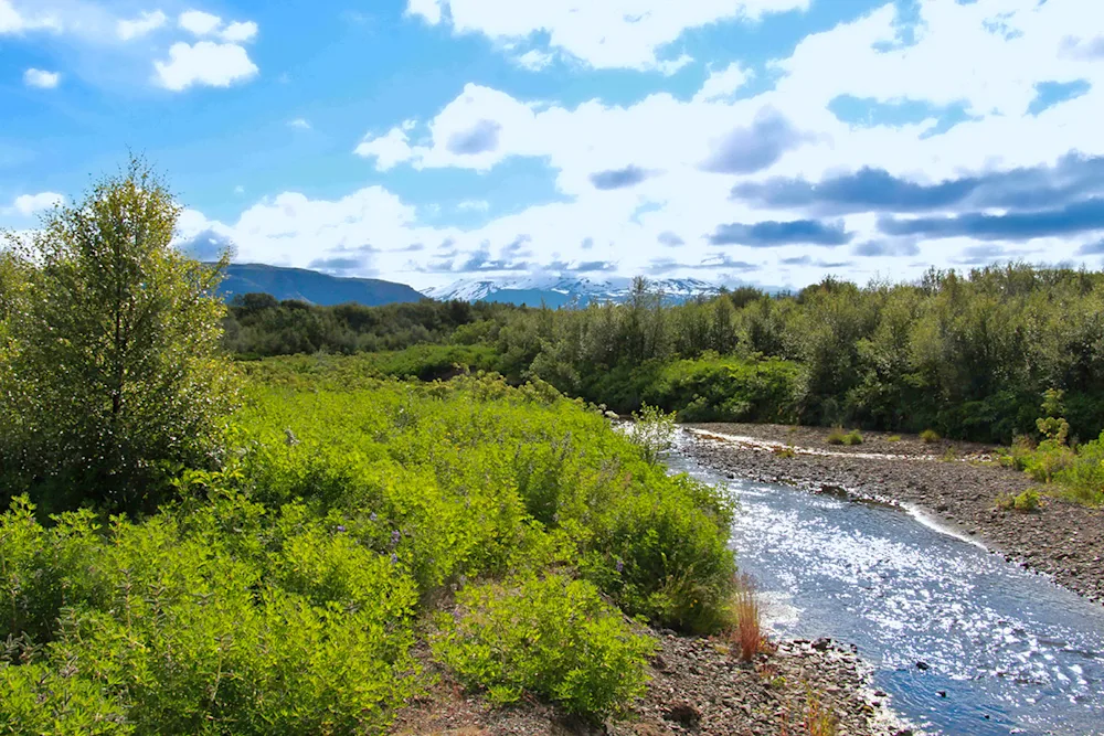 View over Sandá river towards Volcano Hekla. Photo credits: Pétur Halldórsson