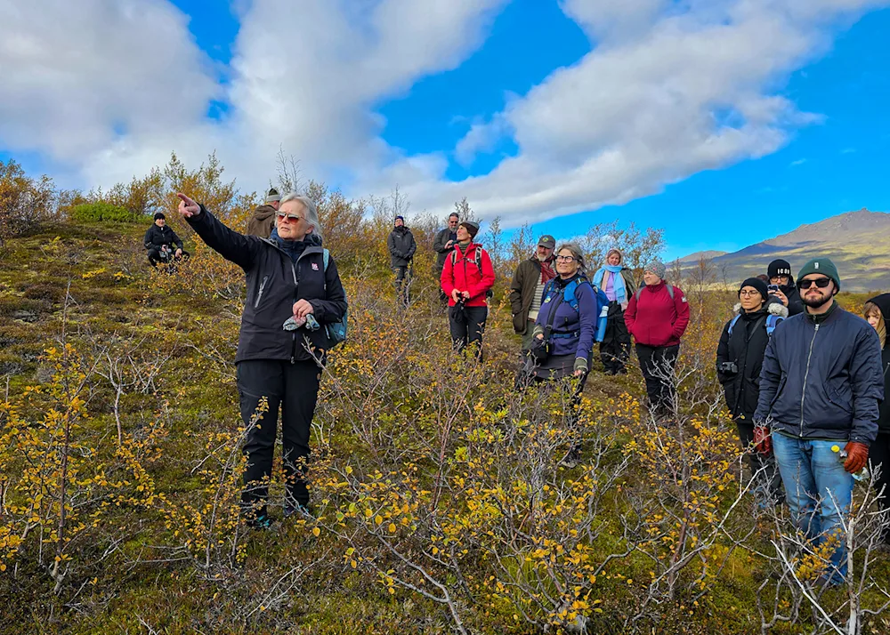 From the Þórsmörk excursion. Professor Ása Aradóttir educates conference attendees about suitable conditions for the spread of birch. Photo credits: Pétur Halldórsson