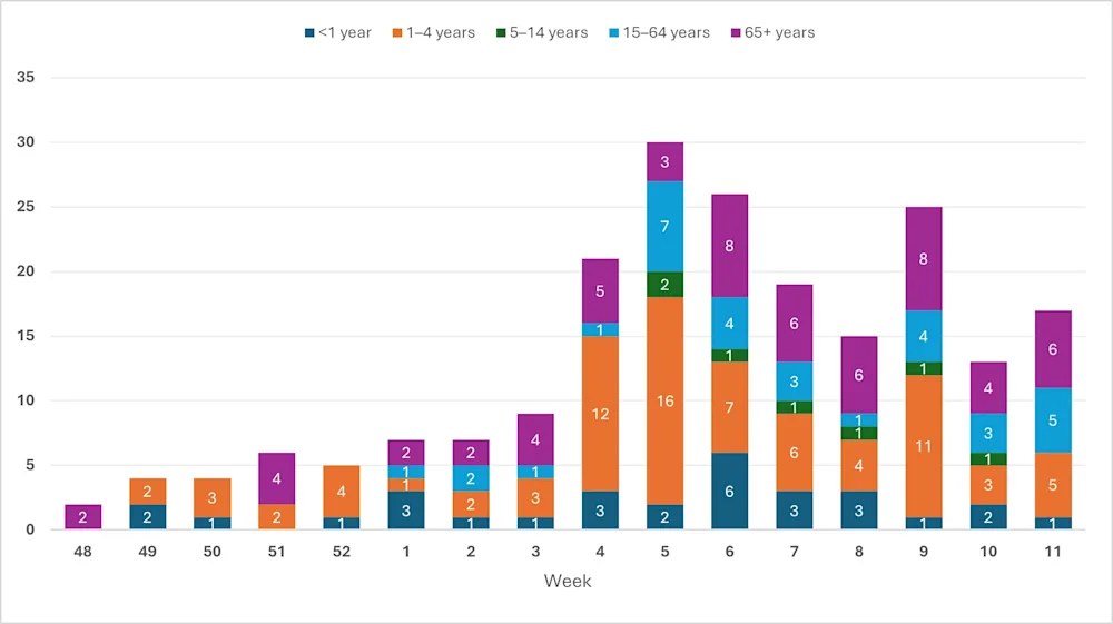 Fig. 3. RSV greiningar. Vika 11