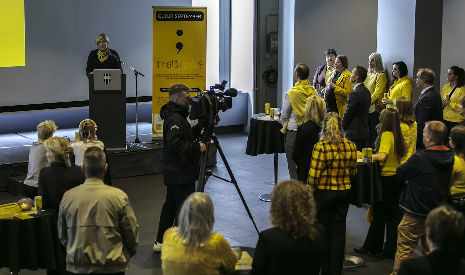 Compasion Yellow Lífsbrú awards for contribution to suicide prevention granted for the ...