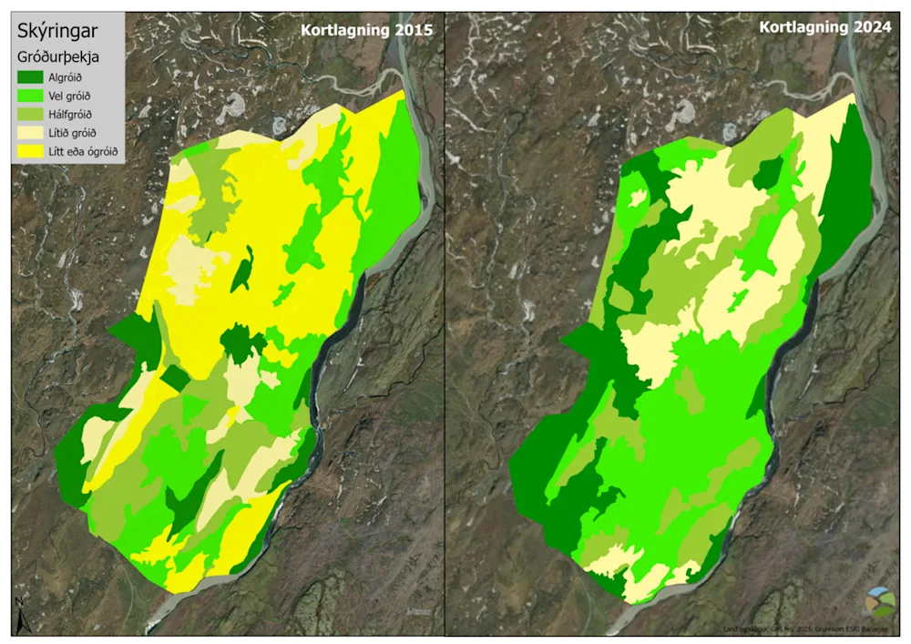 Map 1 - Vegetation cover change 2015 to 2024