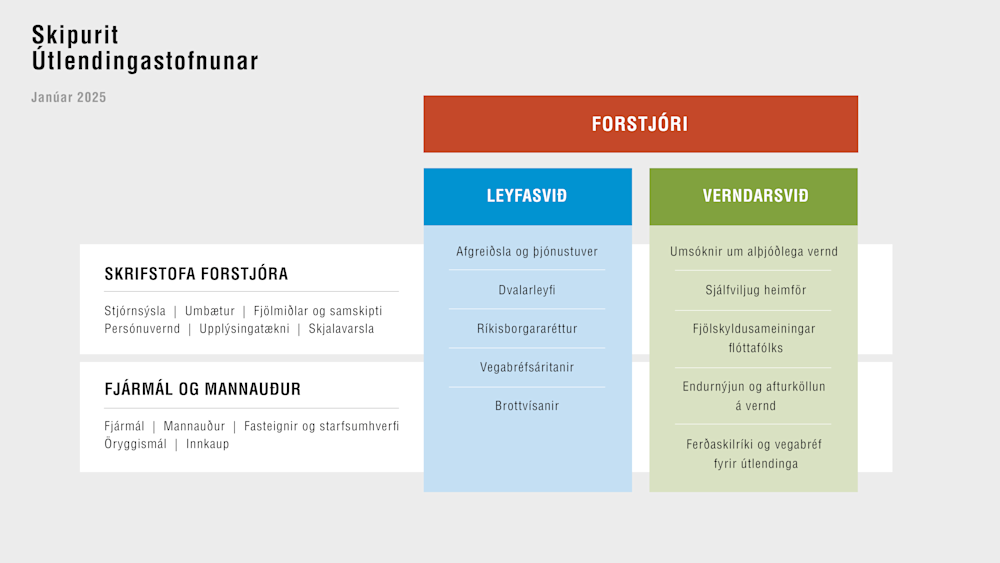 Organization chart of Directorate of Immigration, January 2025