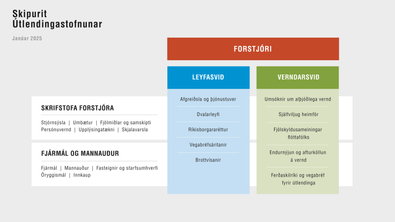 Organization chart of Directorate of Immigration, January 2025