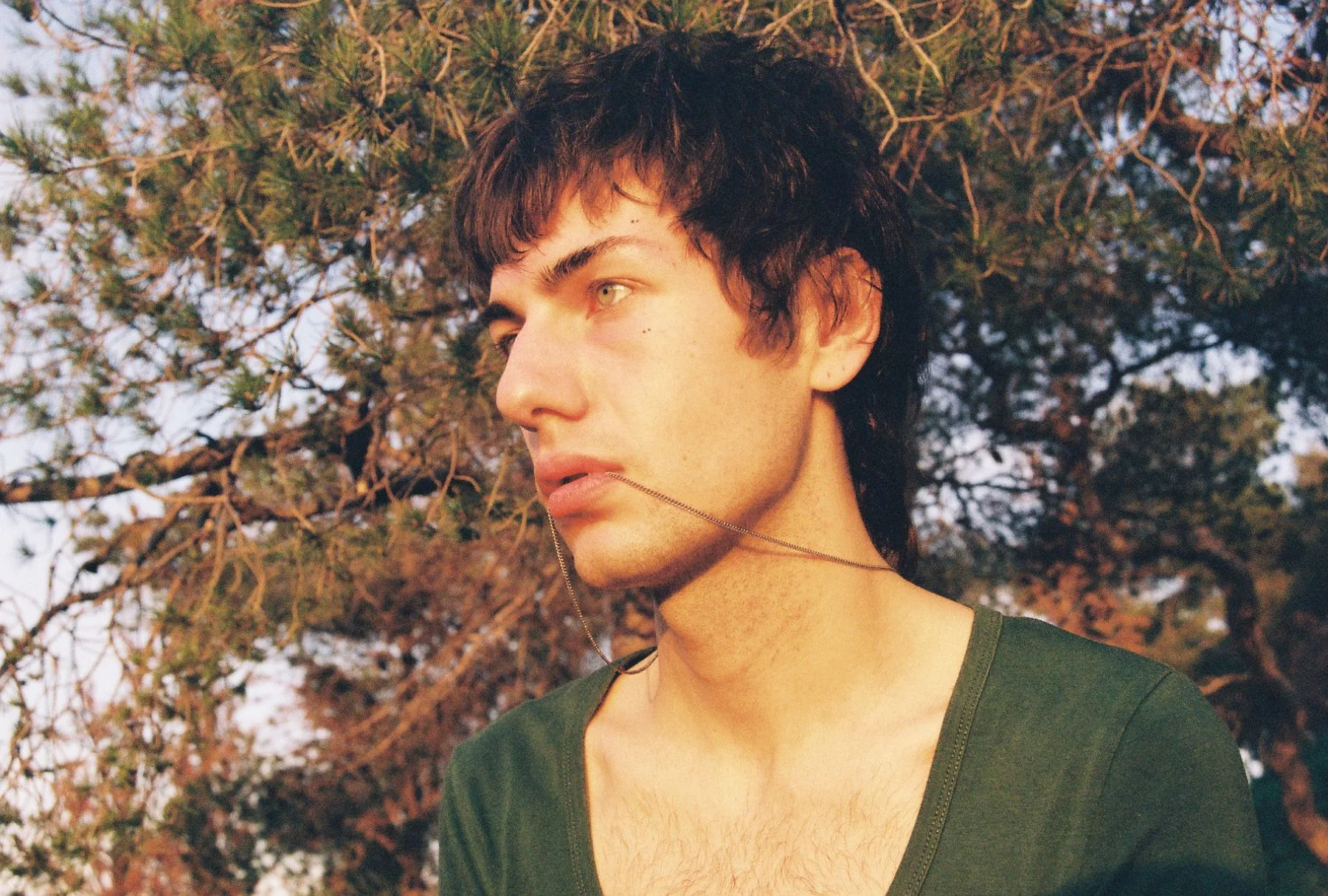 panselino and george