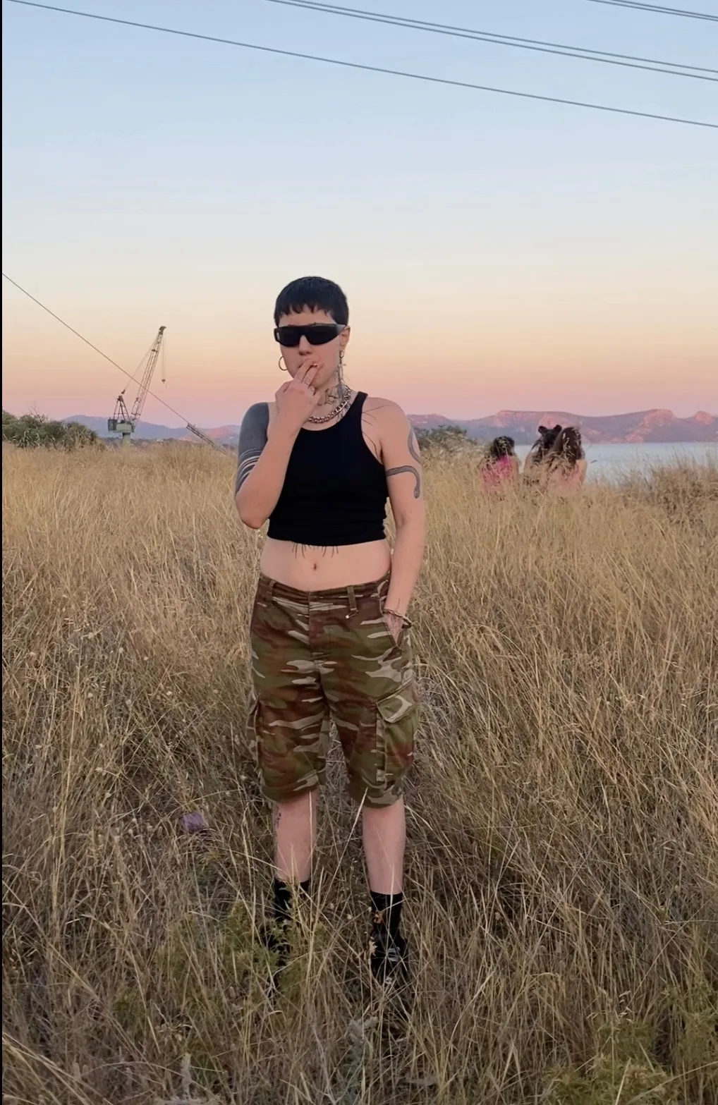 viel-clip-poster cover photo