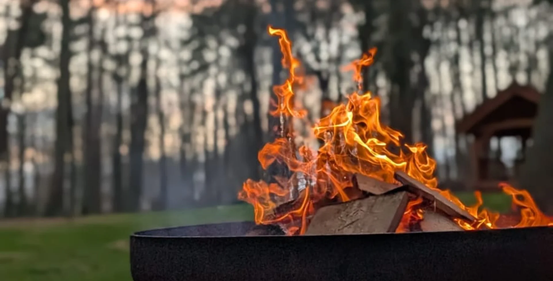 A Taste of the Wild: Foraging, Feasting, and Fireside Folklore