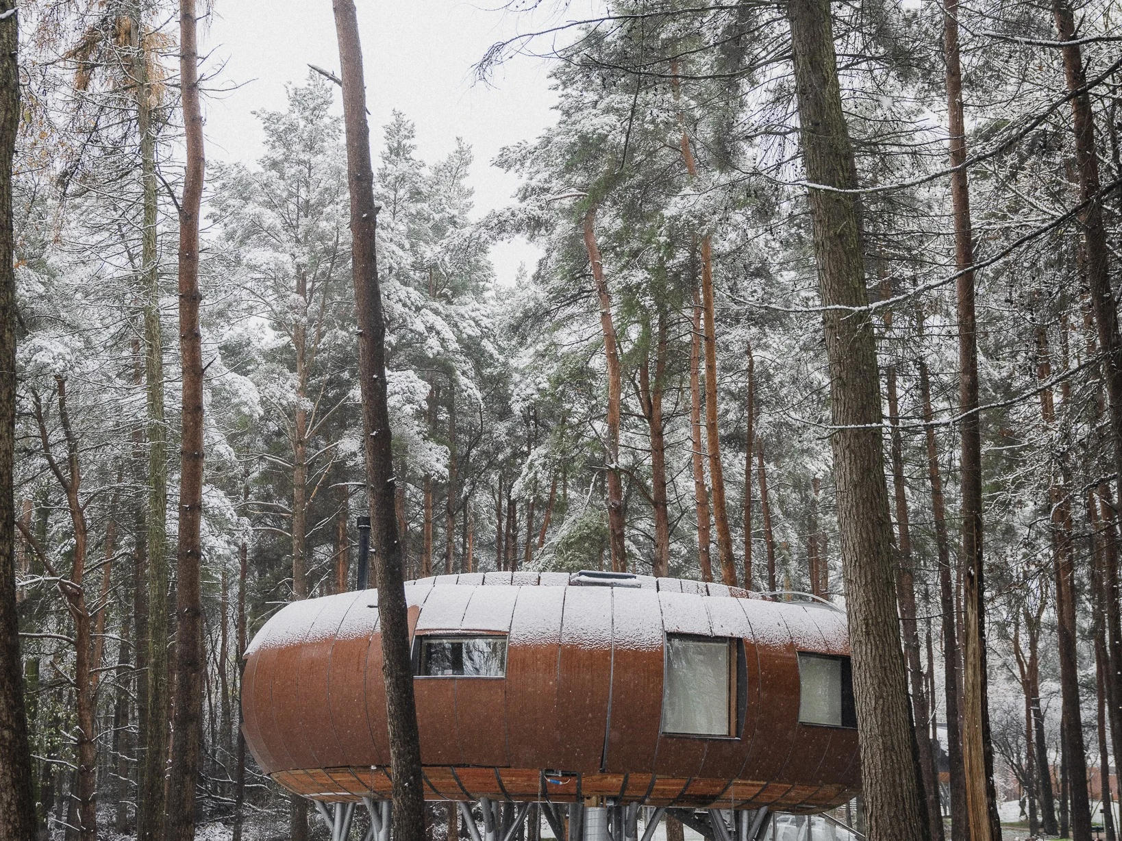 Wild Wellness: A Winter Reset in the Treetops at TreeDwellers