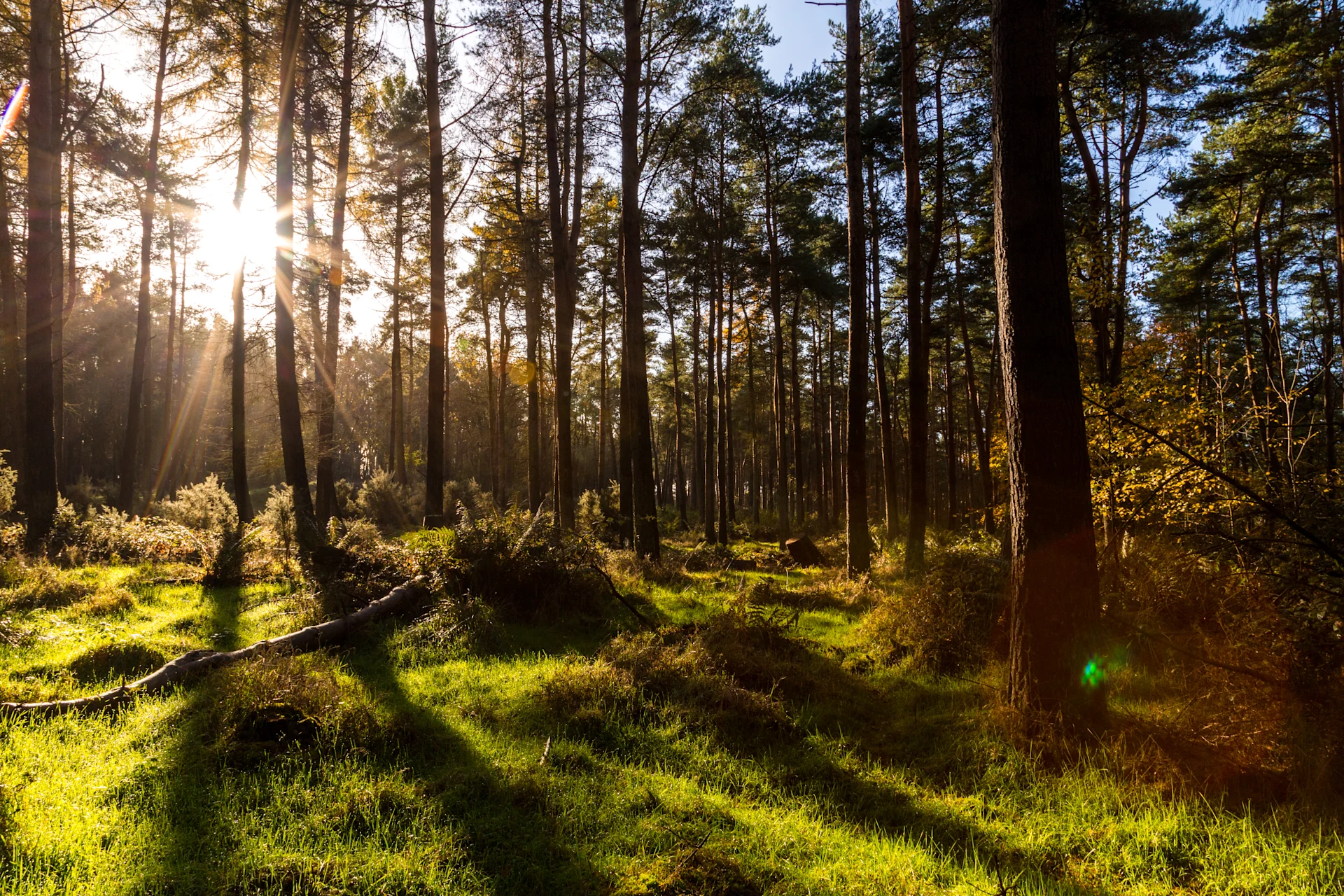 A Spring Weekend at TreeDwellers: The Unhurried Itinerary | TreeDwellers
