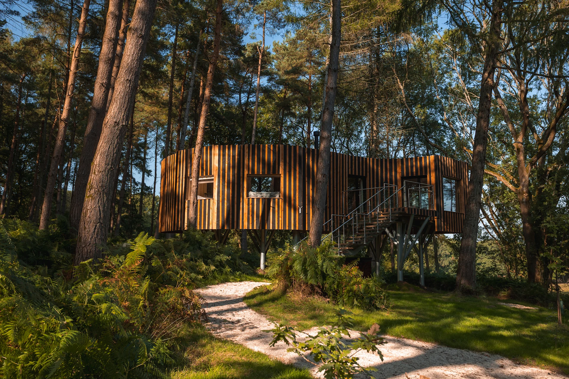 Discover Sambucus Treehouse: An Elder-Inspired Haven of Protection and Renewal