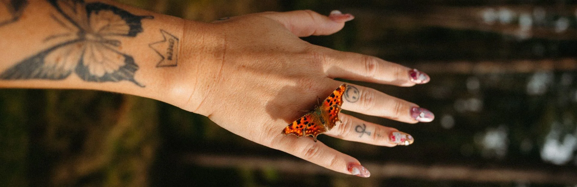 Awaken Your Senses: The Science of Sight, Sound, Scent, Taste & Touch in the Forest