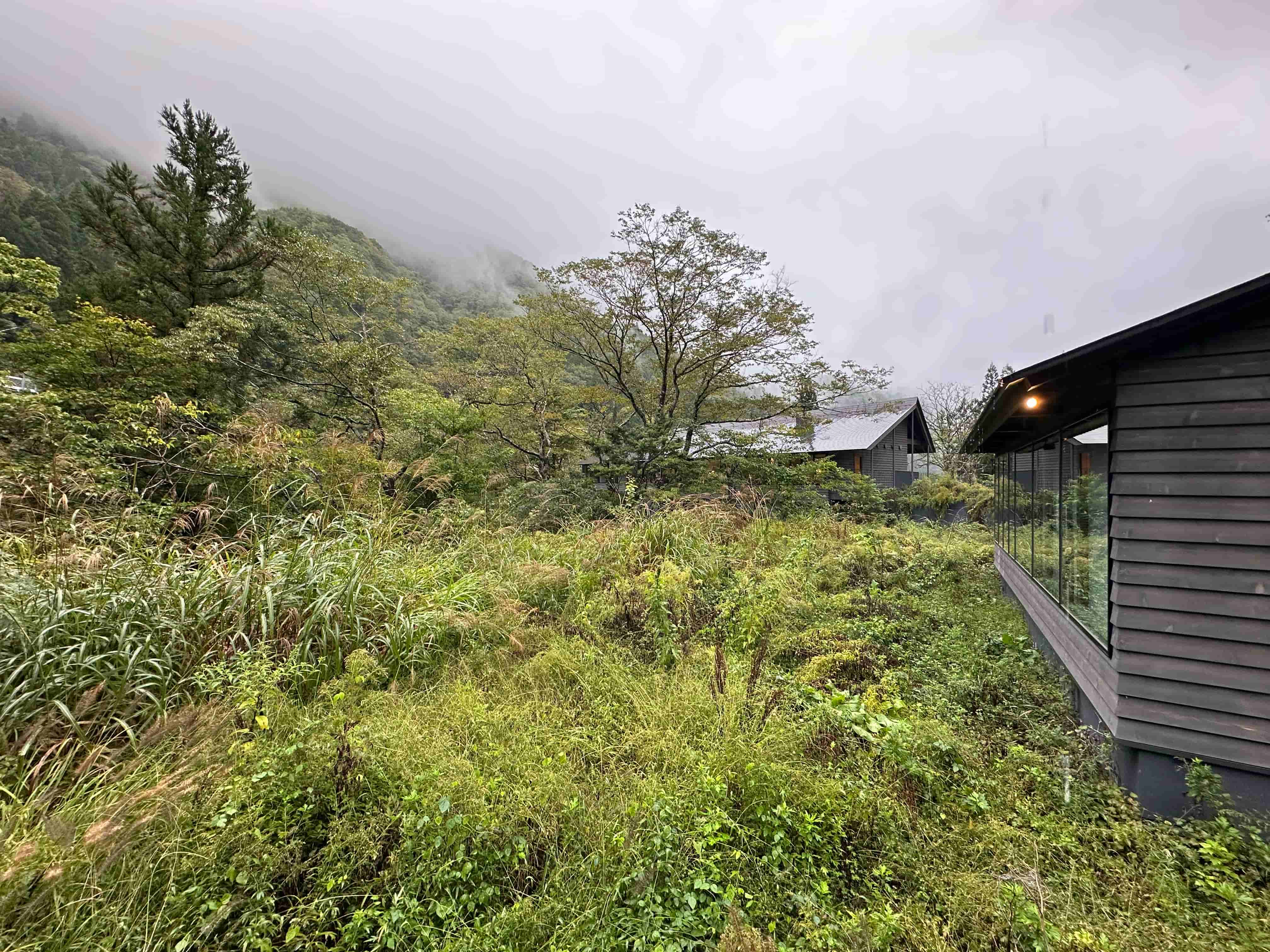 levo-cottage3-景色