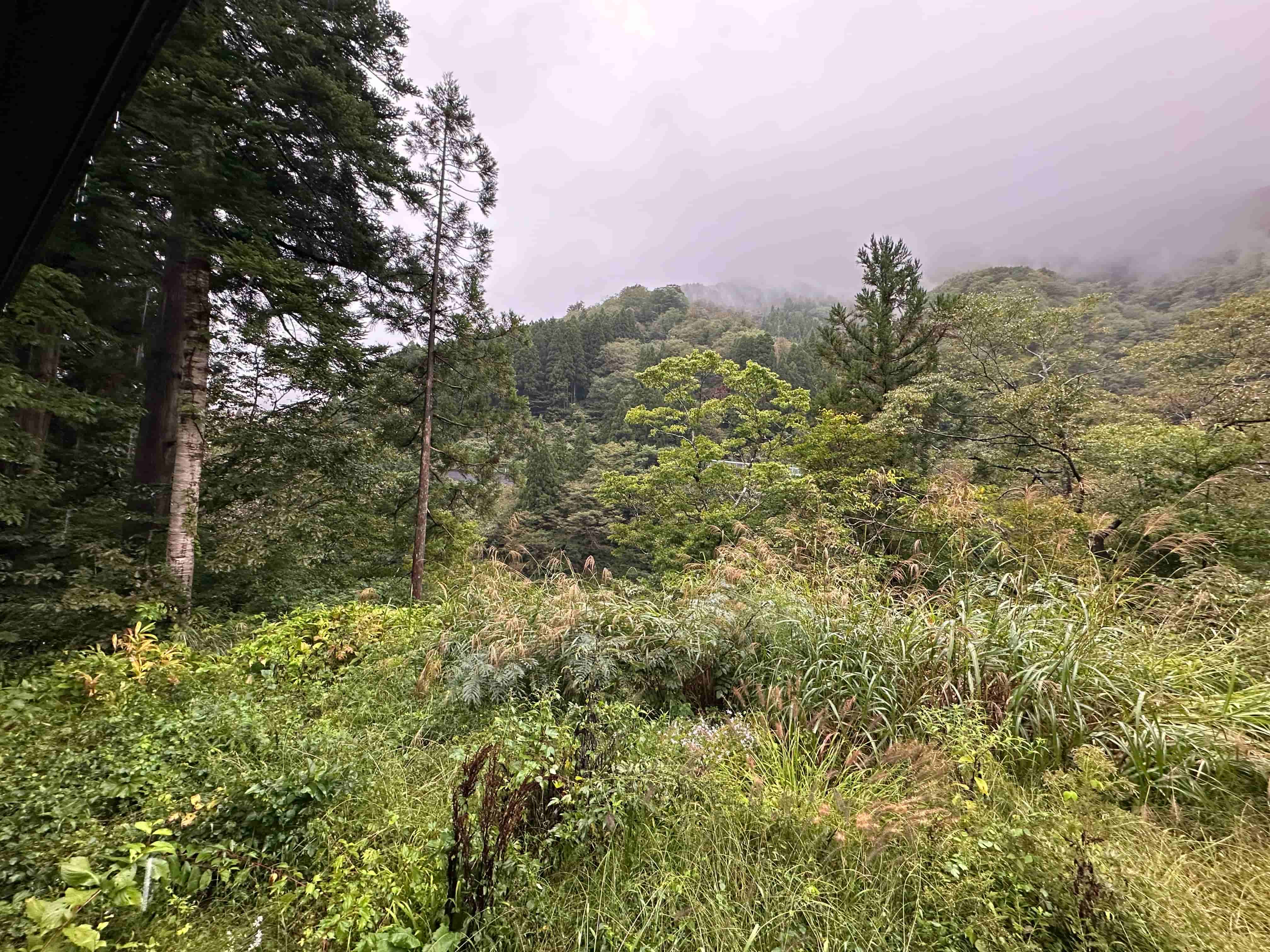 levo-cottage3-景色