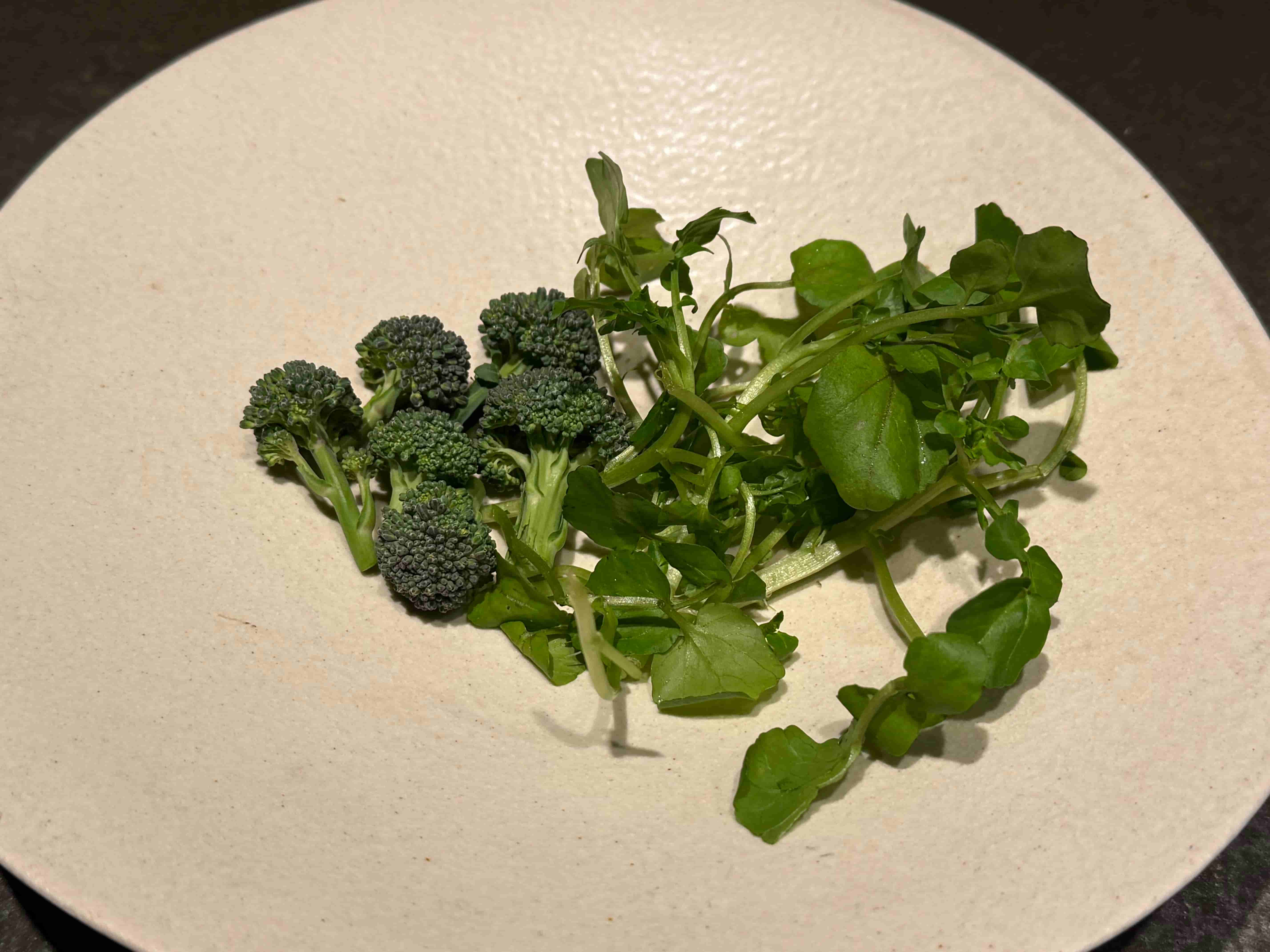 la buche-202504-ブロッコリー