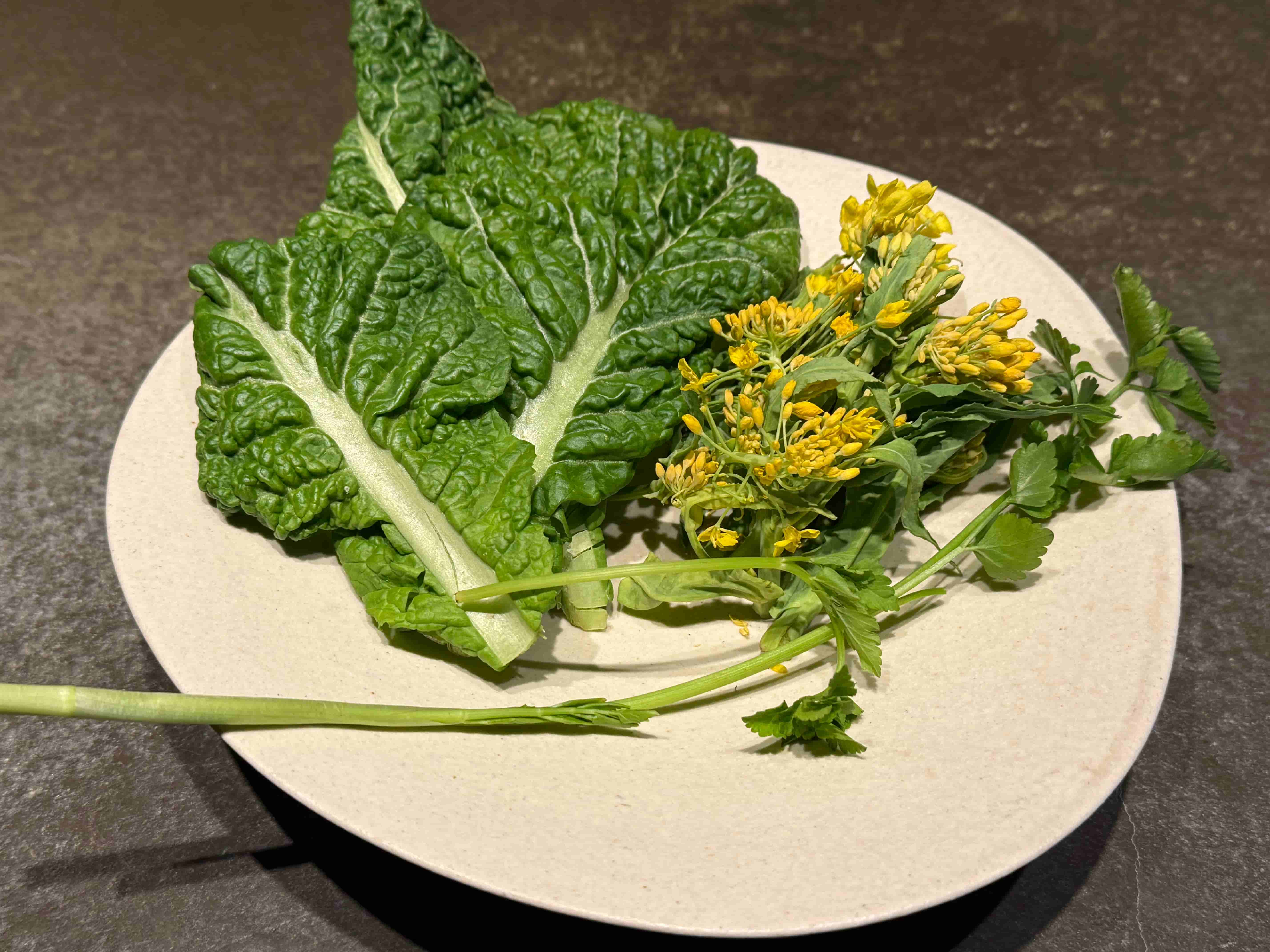 la buche-202504-菜の花