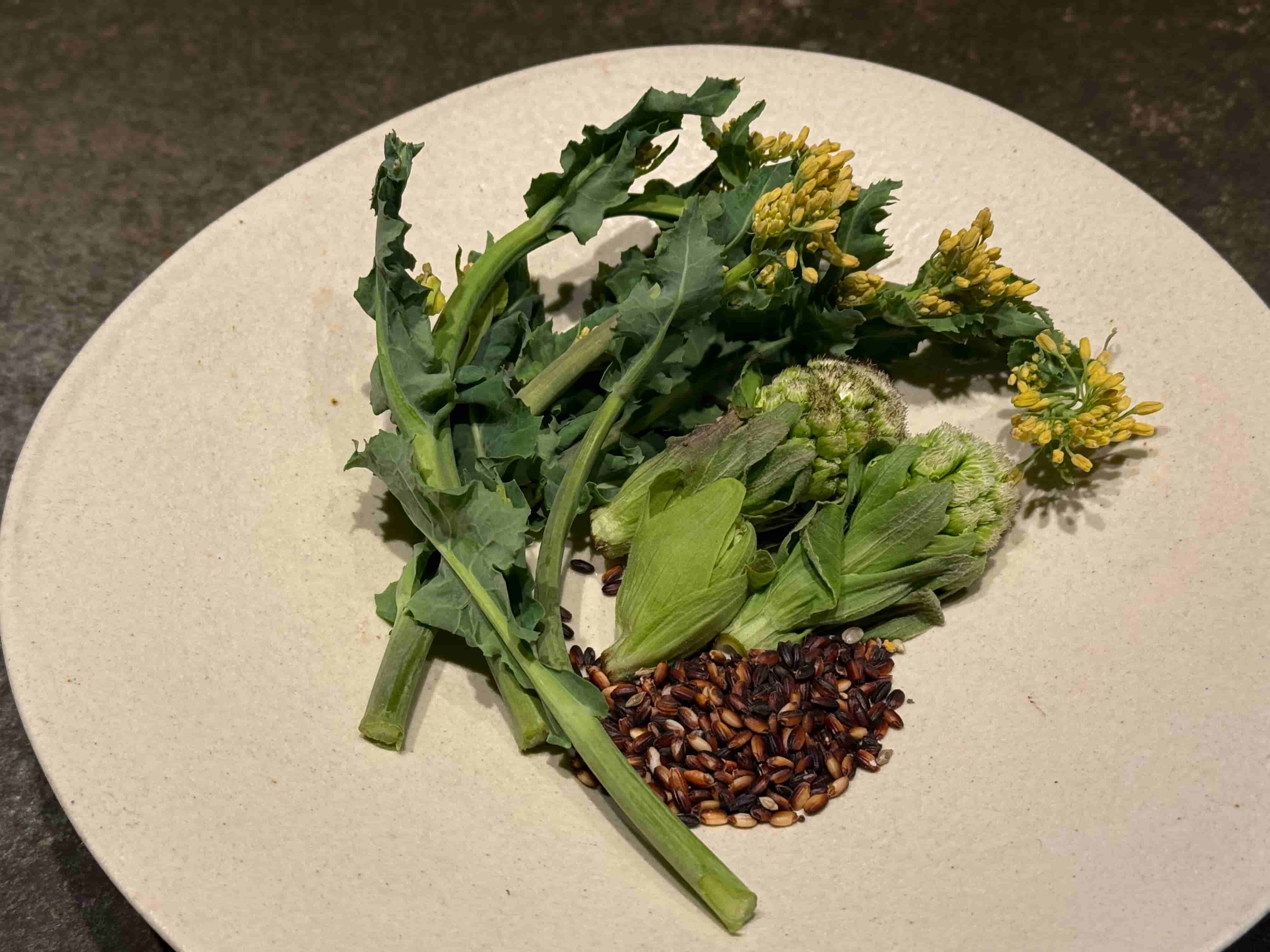 la buche-202504-ふきのとう