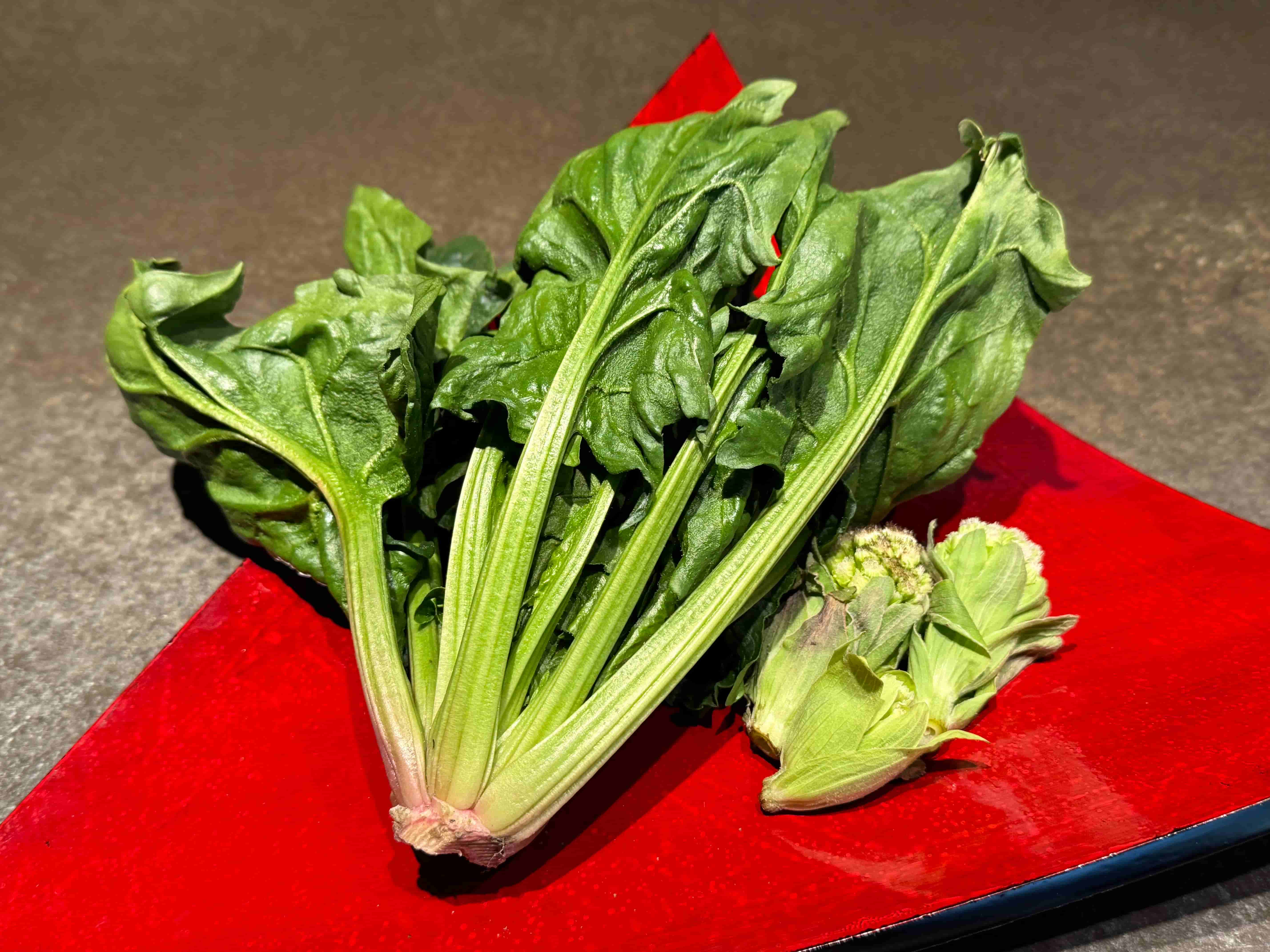 la buche-202504-ほうれん草
