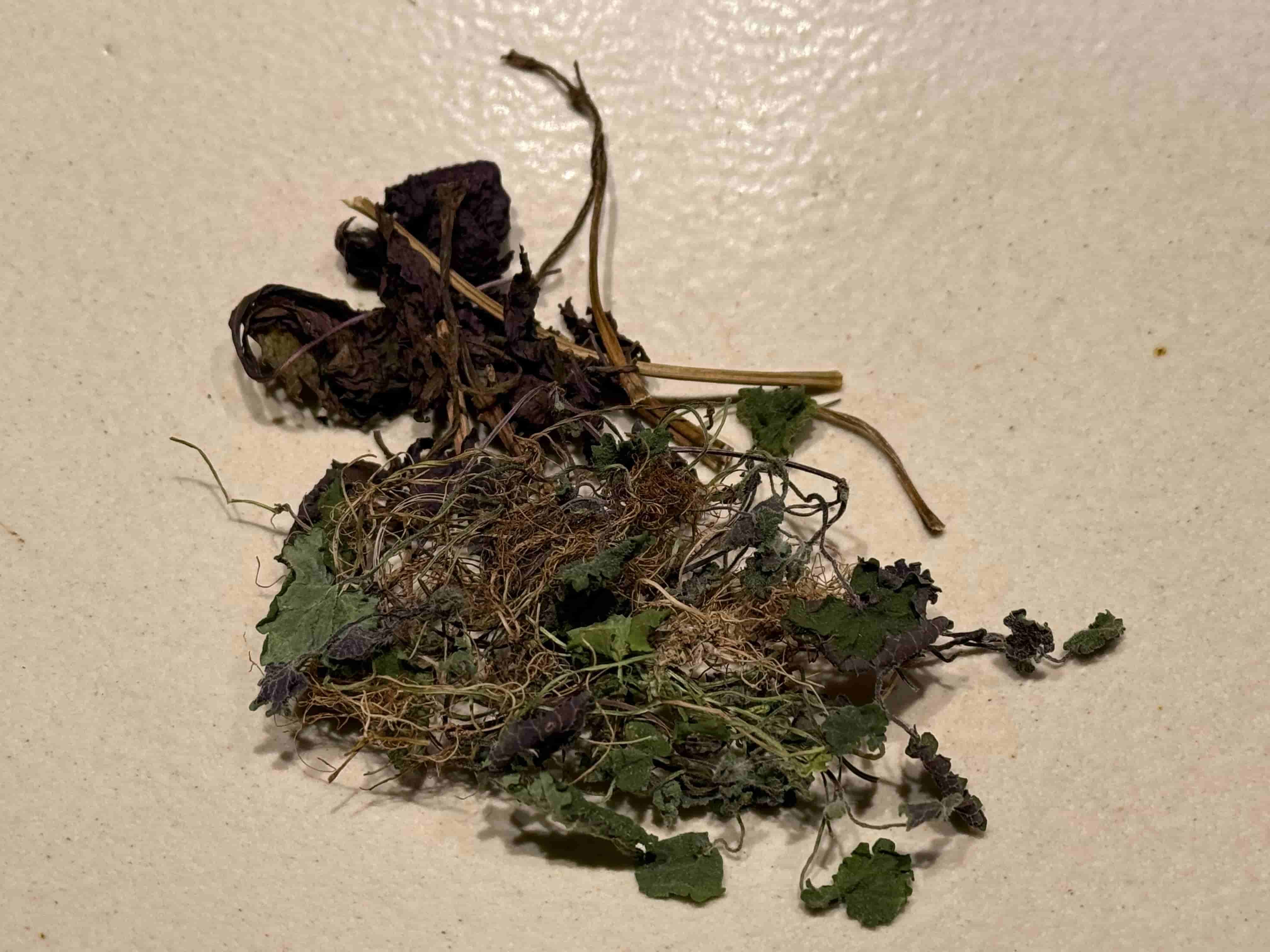 la buche-202504-ミント