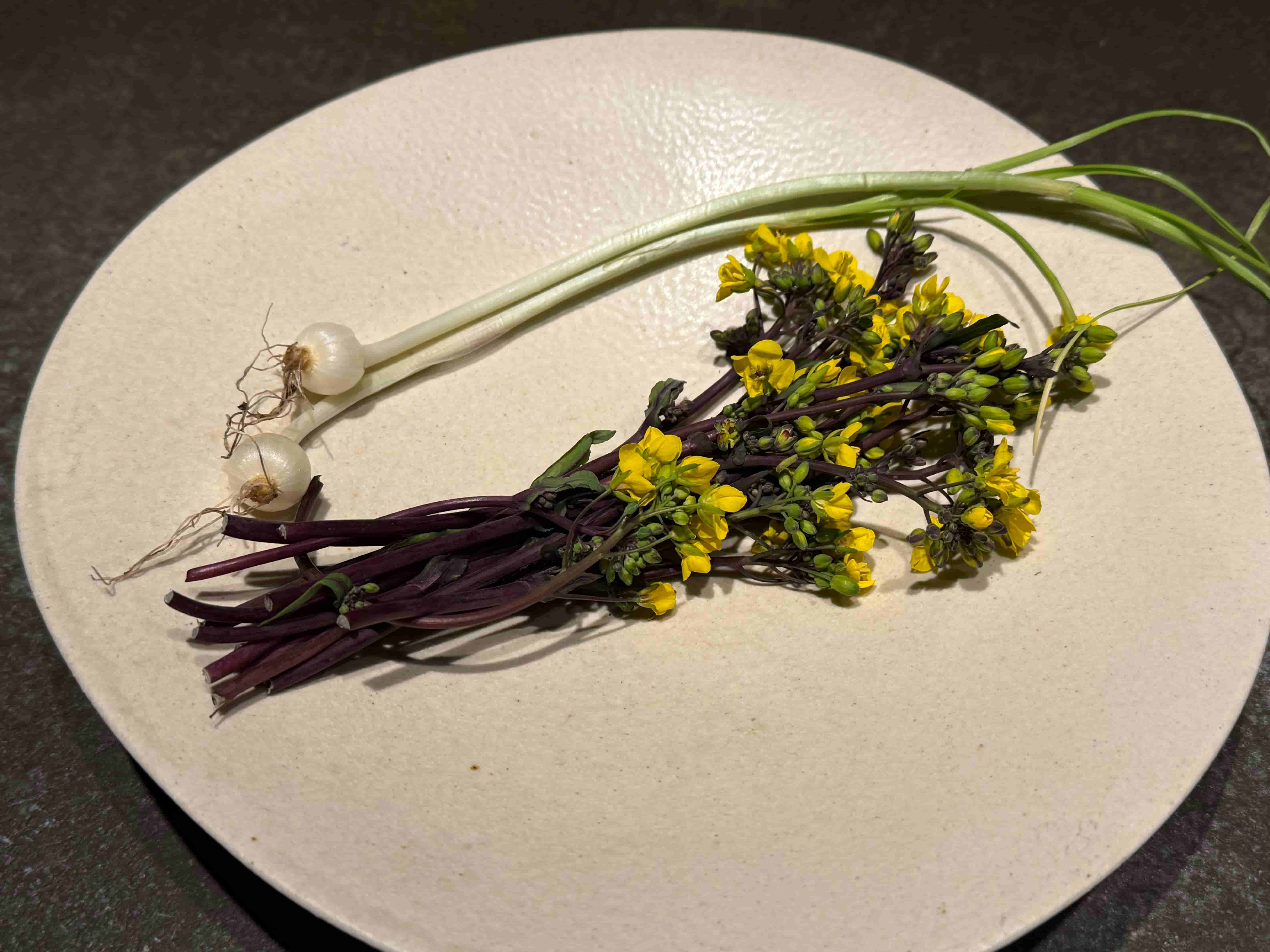 la buche-202504-紅菜苔