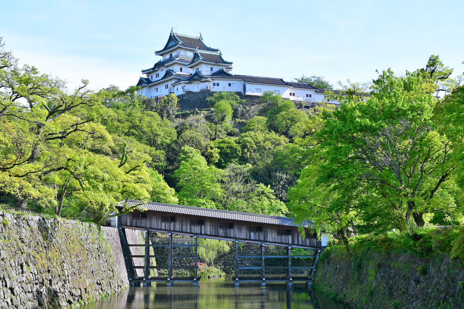 わかやま観光 和歌山城天守閣 和歌山県公式観光サイト