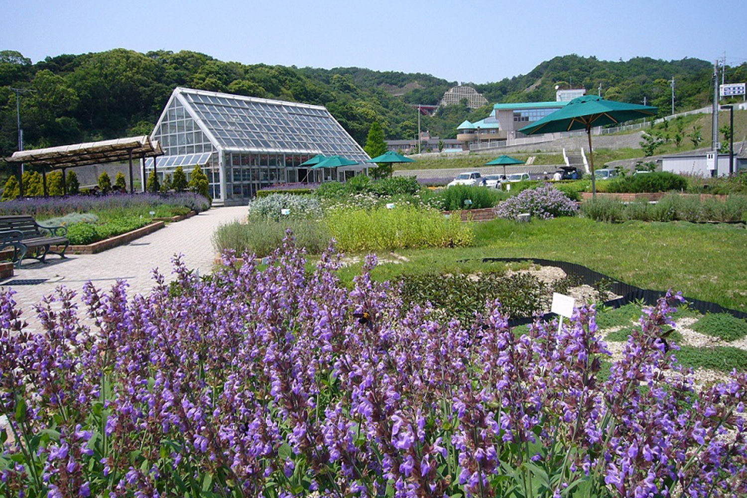 西庄ふれあいの郷 ハーブ園の見頃 観光スポット 体験 和歌山県公式観光サイト